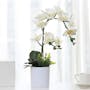 Faux Orchid in White Pot - 2