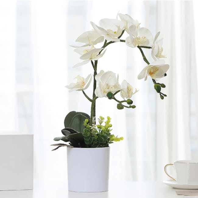 Faux Orchid in Ceramic Pot - 1