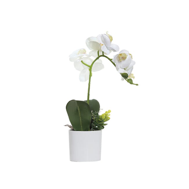 Faux Orchid in White Pot - 0