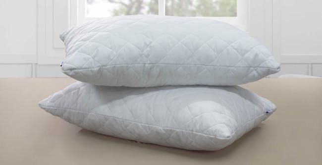 MaxCoil Nino Natural Shredded Latex Pillow - 1