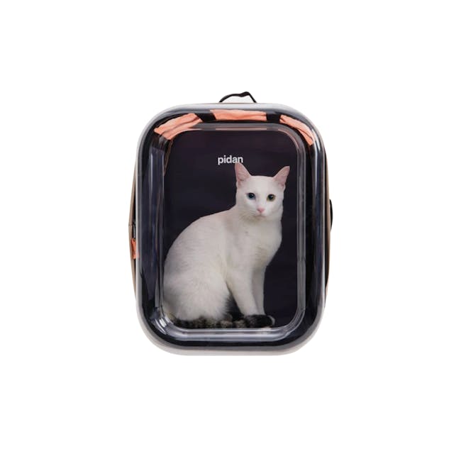Pidan Pet Backpack Carrier - 1 - White cat sitting inside a transparent suitcase, Cat with striking blue eyes, Black