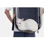 Pidan Pet Backpack Carrier - 3