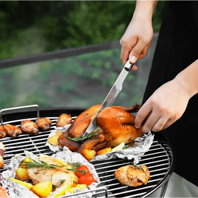 Flame Master Newton BBQ Grill - 10 - Grill, barbecue, cooking, roasted chicken, skewers, vegetables, foil, aluminum foil
