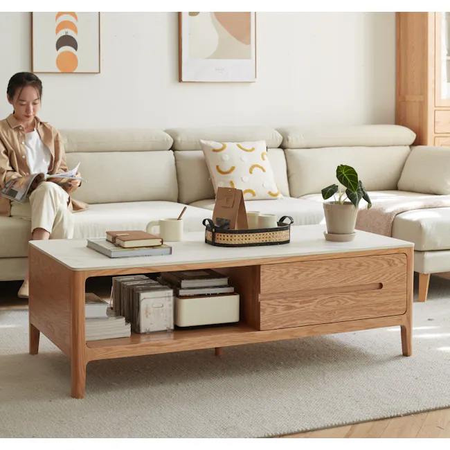 Devin Coffee Table 1.2m (Sintered Stone) - 2 - Light beige sofa, modern decor, wooden coffee table, stack of books, brown