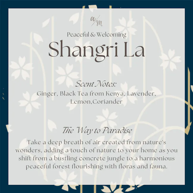 Aroma Matters Reed Diffuser - Shangri La (2 Sizes) - 5 - Peaceful & Welcoming, Shangri La, Scent Notes: Ginger, Black Tea