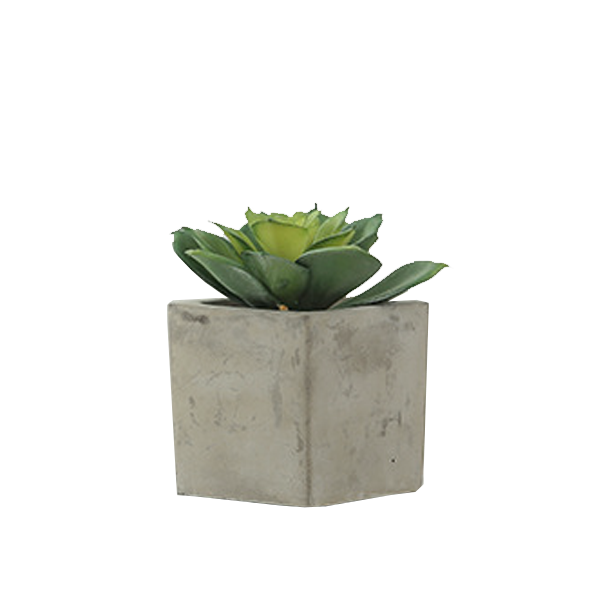 Faux Echiveria in Concrete Planter - Green