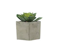 Faux Echiveria in Concrete Planter - Green