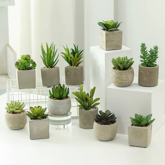 Faux Sedum in Concrete Planter - 4 - Succulents in various shapes and sizes, modern minimalist background, white and gray