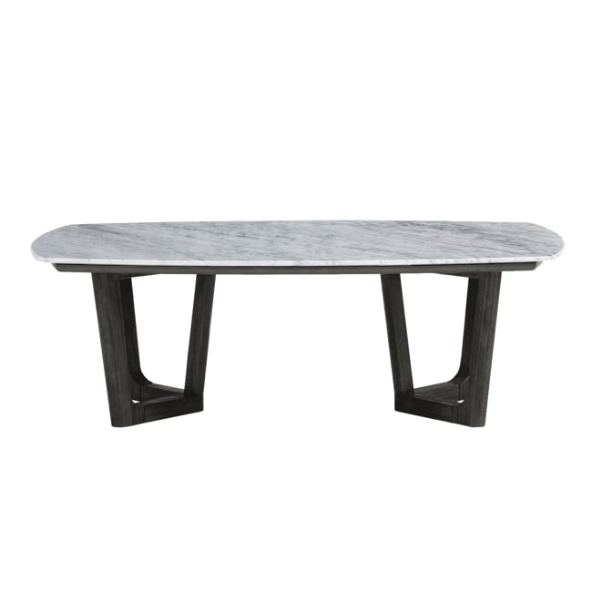 Carson Marble Coffee Table - 0