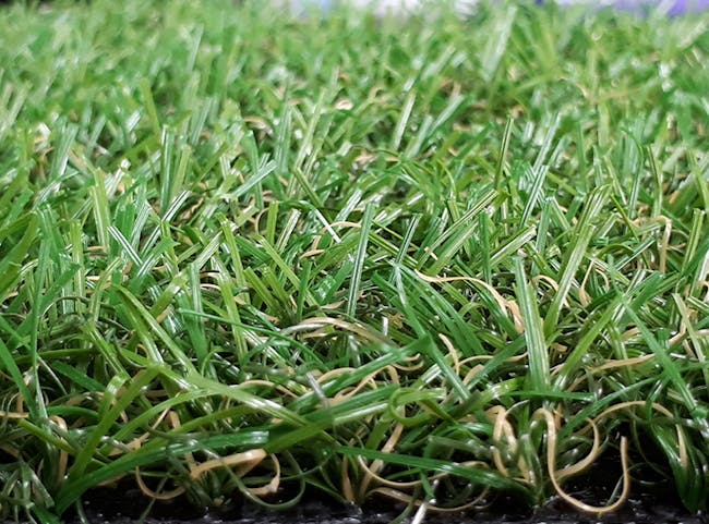 Lawn Grass Carpet - 2