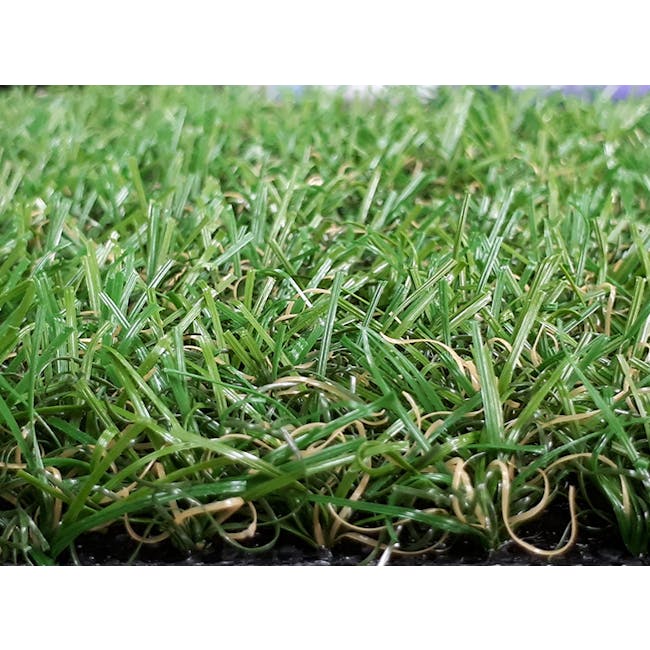 Lawn Grass Carpet - 2