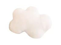 Cloud Plush Cushion