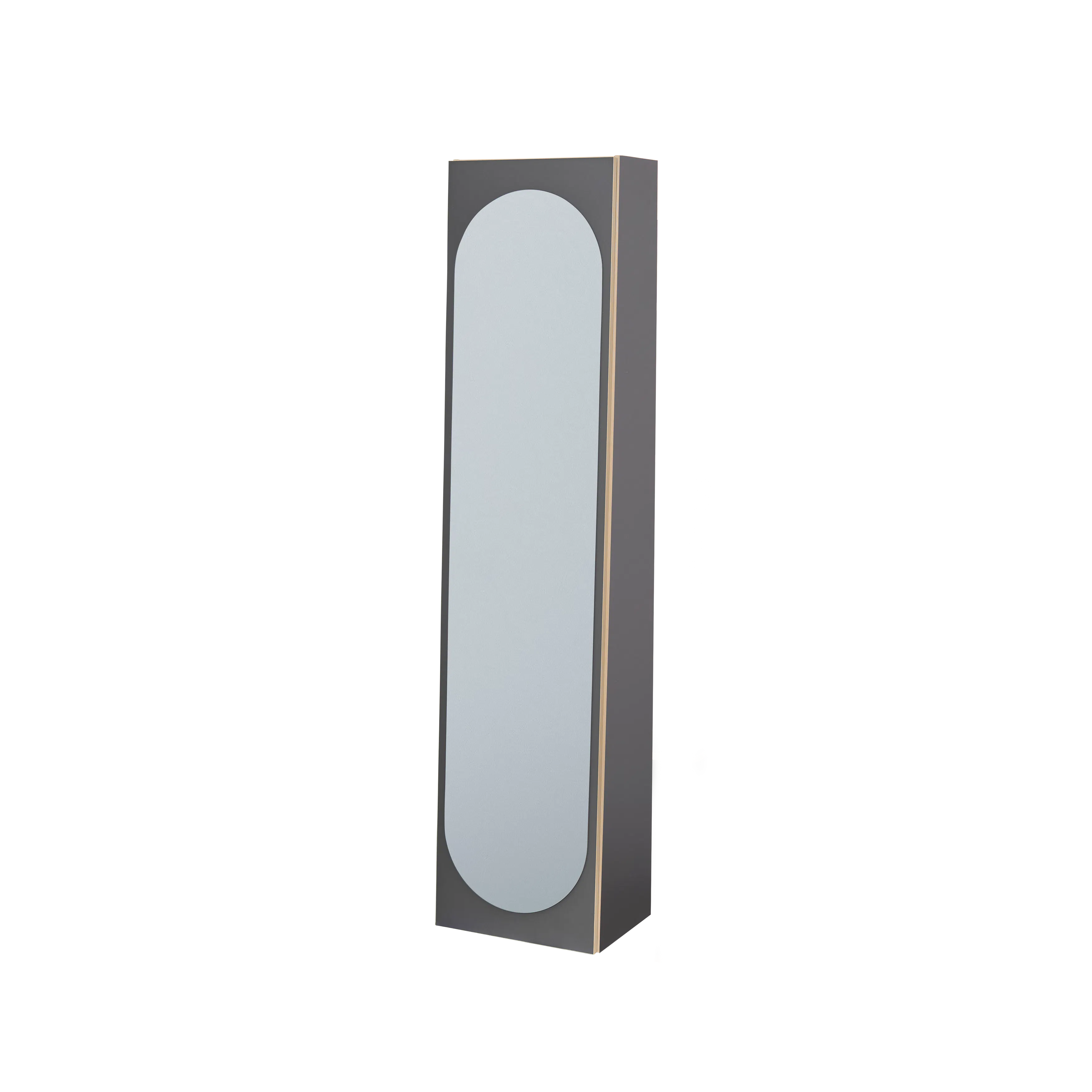 Kira Standing Floor Mirror with Storage (2 Sizes) - Charcoal - 13