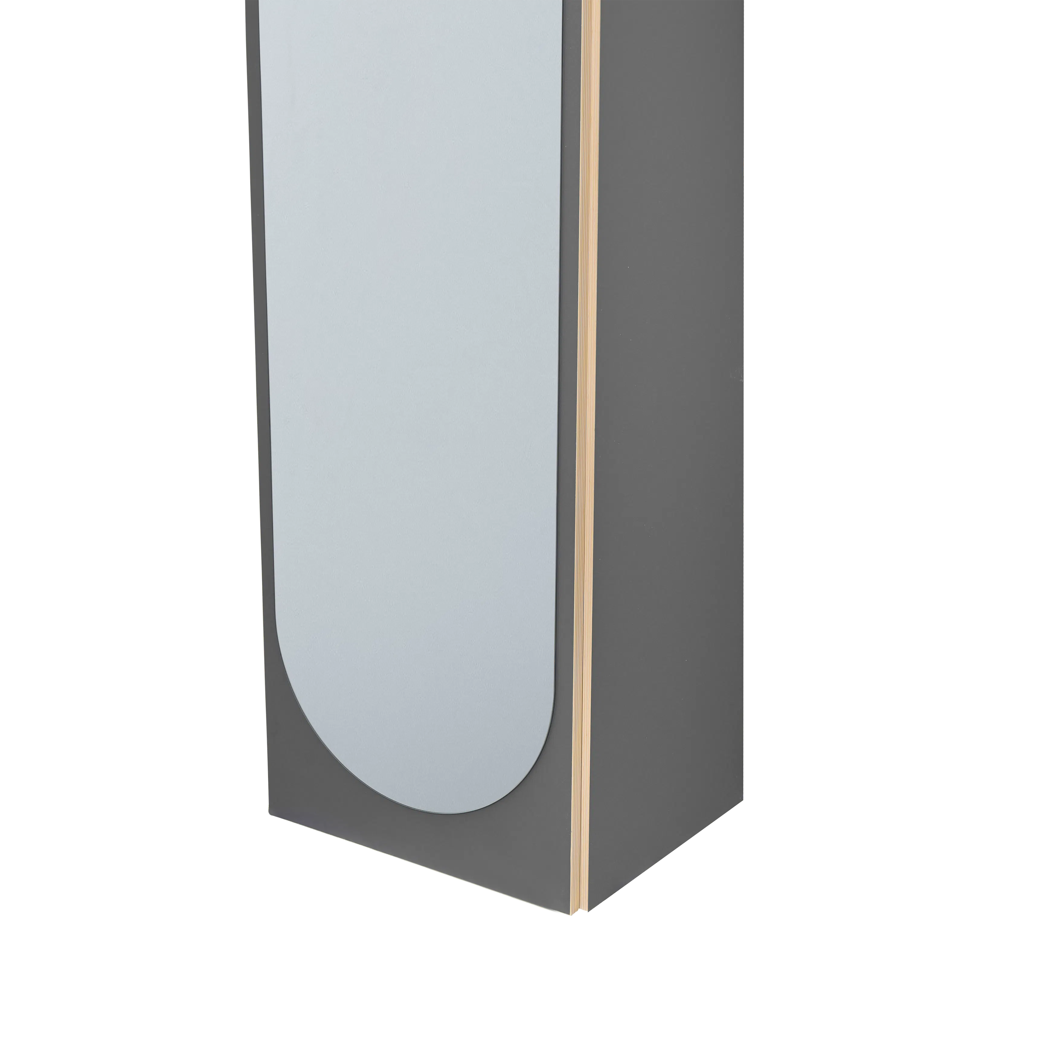Kira Standing Floor Mirror with Storage (2 Sizes) - Charcoal - 14