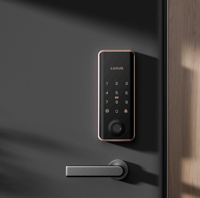 Luxus Gate & Door Bundle: Vantage Digital Door Lock + DG4 Gate Lock - 2
