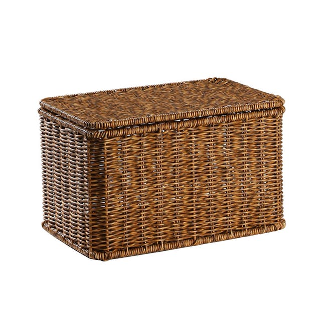 Gabriel Rattan Storage Basket With Lid (3 Sizes) - 1 - Wicker square planter, natural woven texture, brown color, sturdy