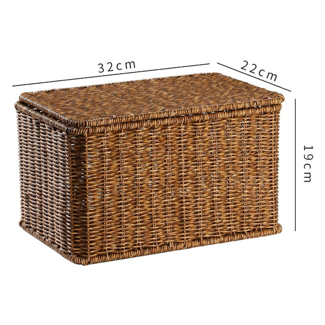Gabriel Rattan Storage Basket With Lid (3 Sizes) - 7 - Woven wicker square planter, 32 cm height, 22 cm width, 19 cm depth