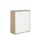 Tyler 2 Door Shoe Cabinet - White, Oak