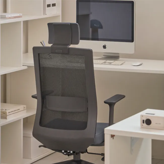 Carsen High Back Mesh Office Chair - Black - 2 - Modern workspace, ergonomic chair, black mesh backrest, white desk, Apple