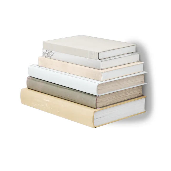 Conceal Wall Shelf - Silver (2 Sizes) - 11