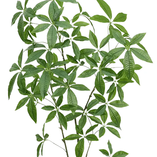Potted Faux Money Tree 150 cm - 3