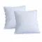 Soft Spot Soft Petal Cushion Covers (Set of 2) - Cottage