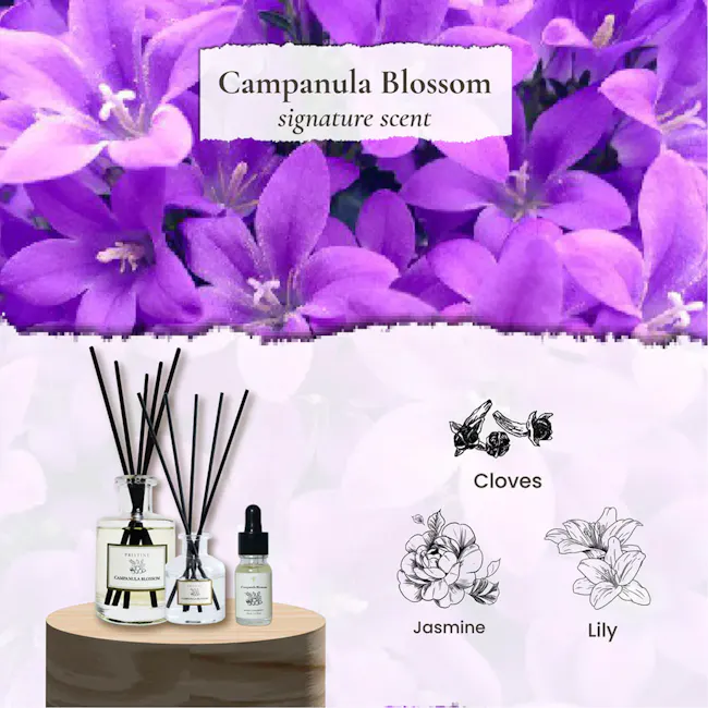 Pristine Aroma Reed Diffuser 50ml - Campanula Blossom (Signature Scent) - 2 - Campanula Blossom signature scent, lavender