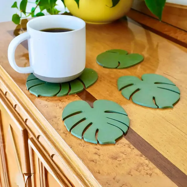 Monstera Coaster Plant with Magnetic Leaves - Forest Green - 11