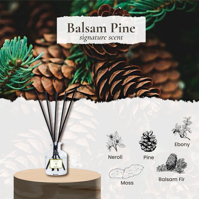 Pristine Aroma Reed Diffuser 50ml - Balsam Pine (Signature Scent) - 1