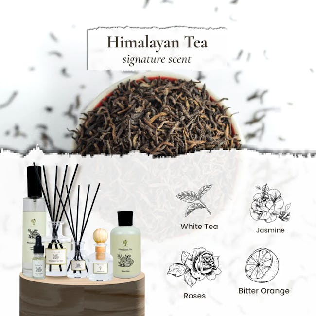 Pristine Aroma Ball Diffuser Signature Scent 50ml - Himalayan Tea (ION Orchard) - 1