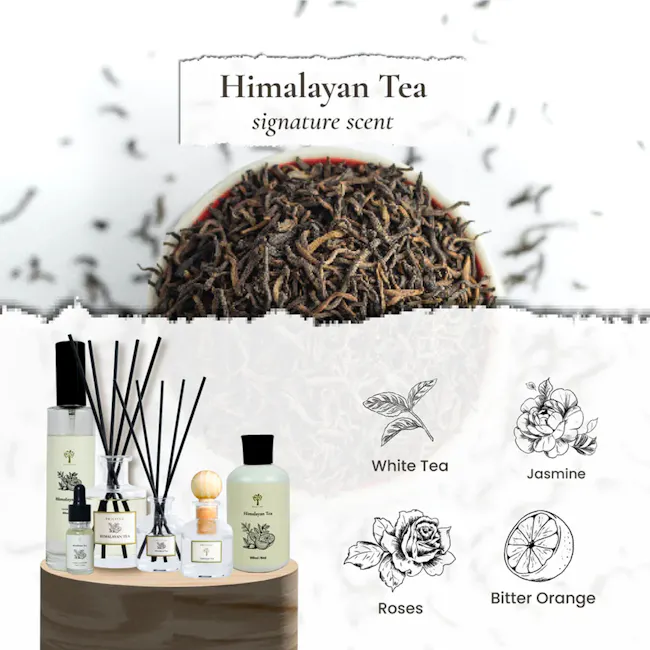 Pristine Aroma Ball Diffuser Signature Scent 50ml - Himalayan Tea (ION Orchard) - 2 - Himalayan Tea, signature scent, White