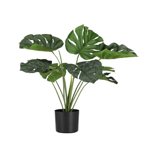 Potted Faux Monstera Plant 65 cm - 1 - Green glossy leaves, tropical plant, large heart-shaped leaves, variegated variegated