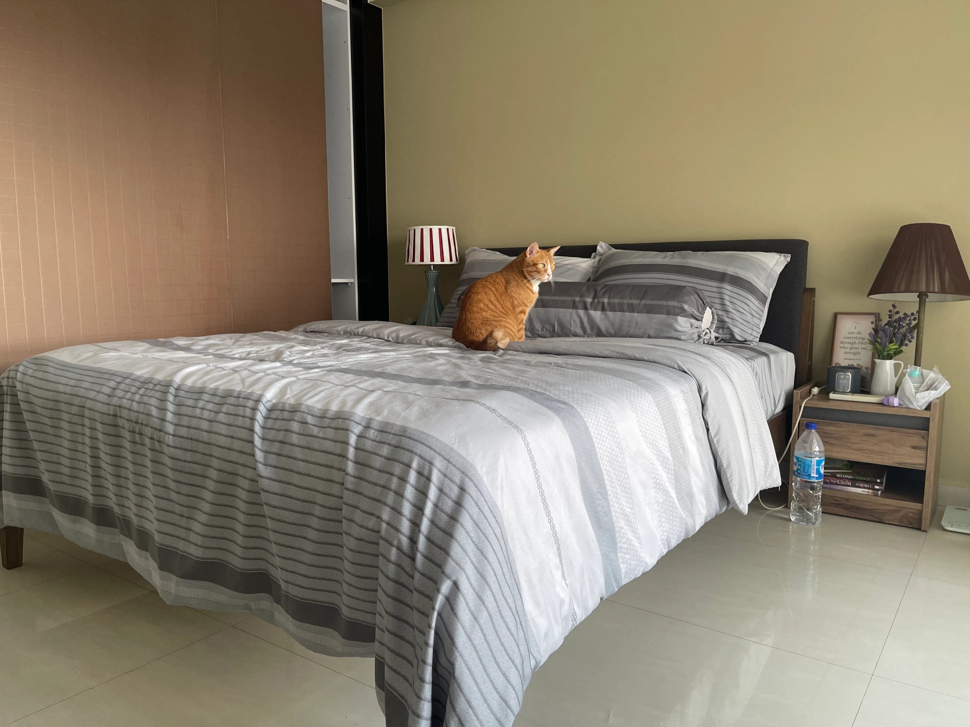 Customer home photo 18: The steady and firmness of this collection gives me a good night rest with no disturbance of other movements.