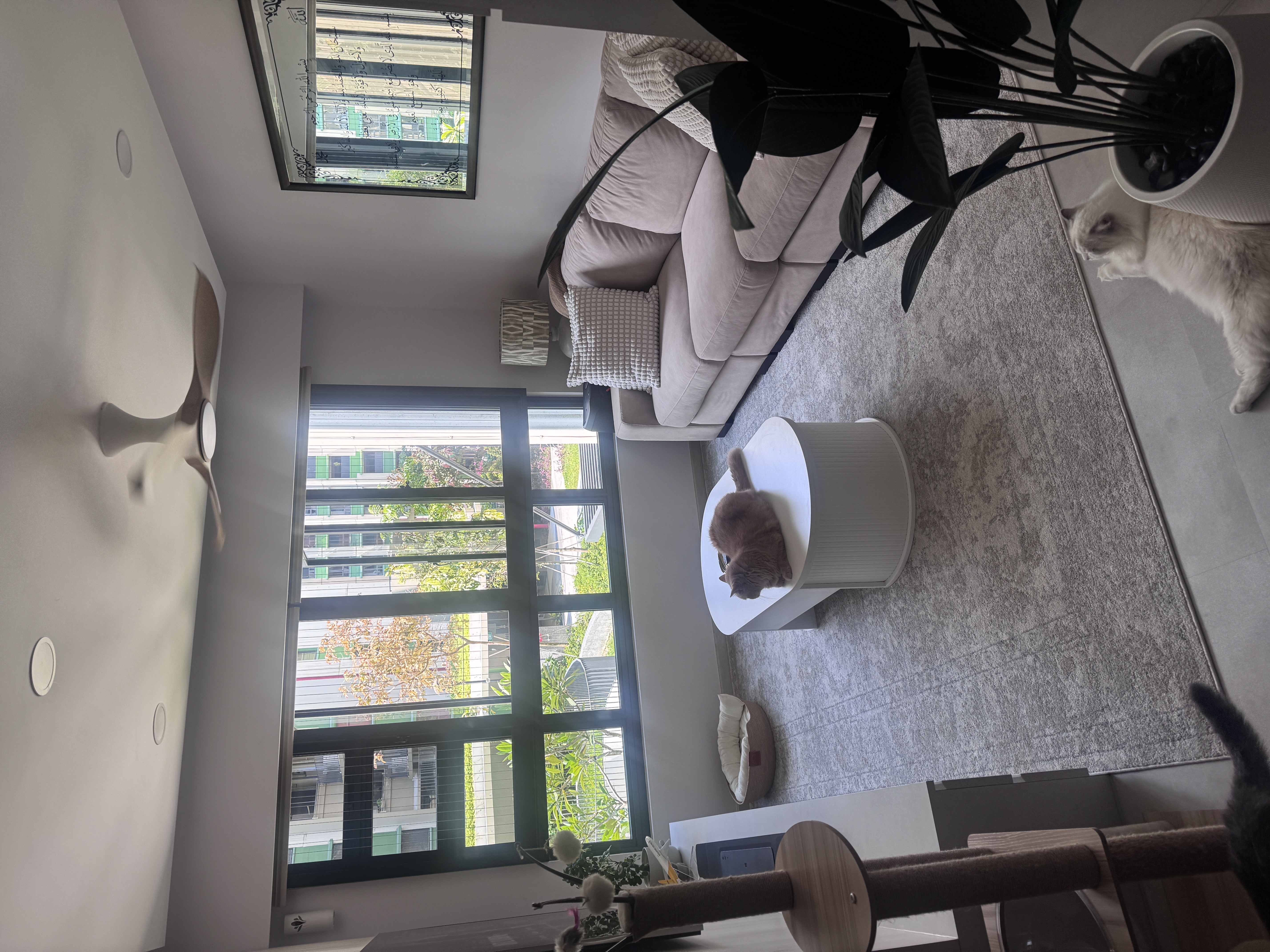 Customer home photo 28: Finally I am satisfied! Soft closing and aesthetic wise so pleasing. Thank you for the timely delivery. Thank you.