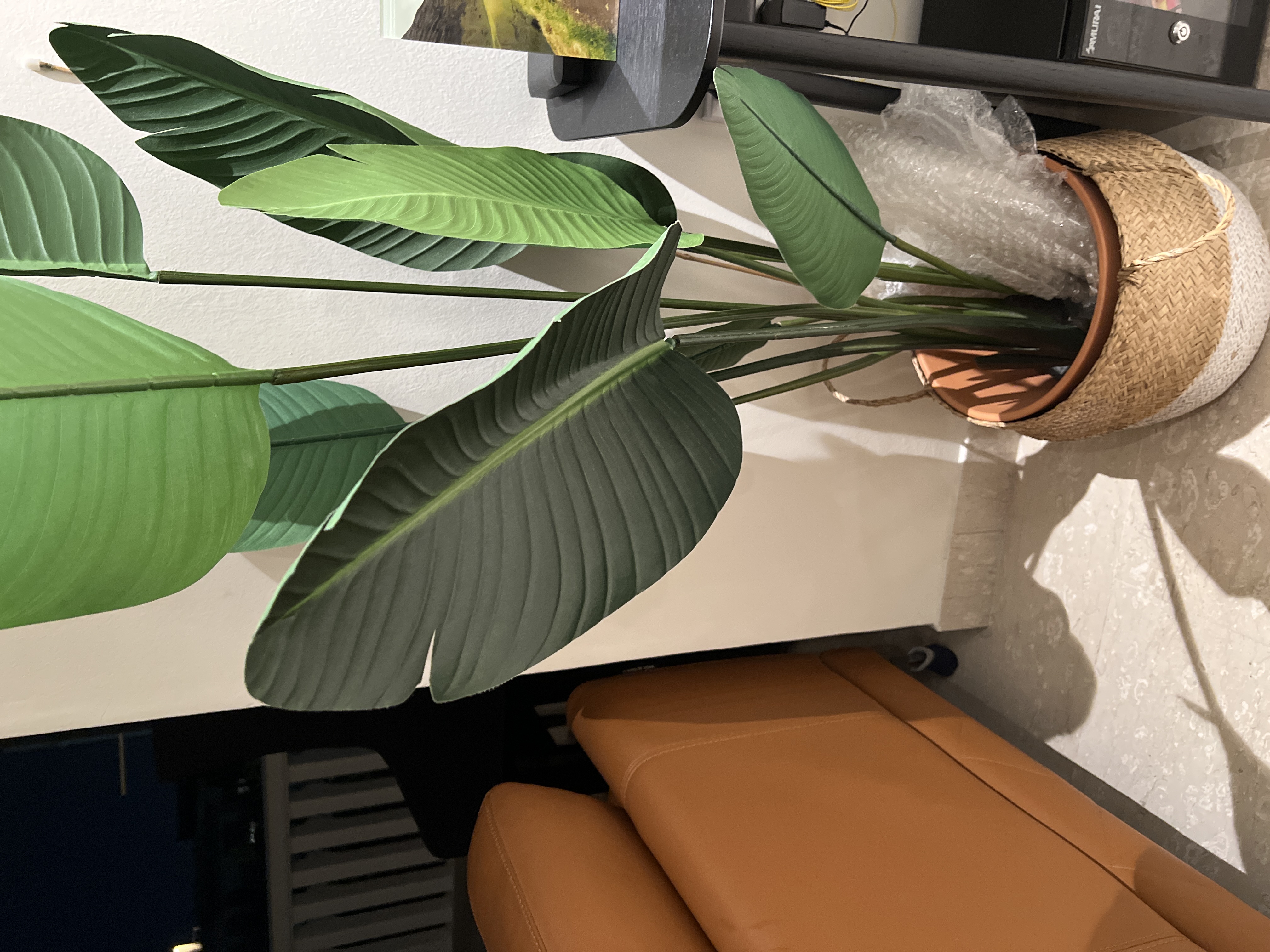 Customer home photo 2: Great quality. Leaves and stem look and feel realistic. However after a few years a few leaves have detached from the stem and the extruding metal is sharp.