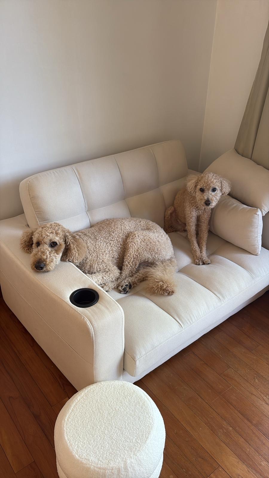 Customer home photo 1: It matches the sofa perfectly!