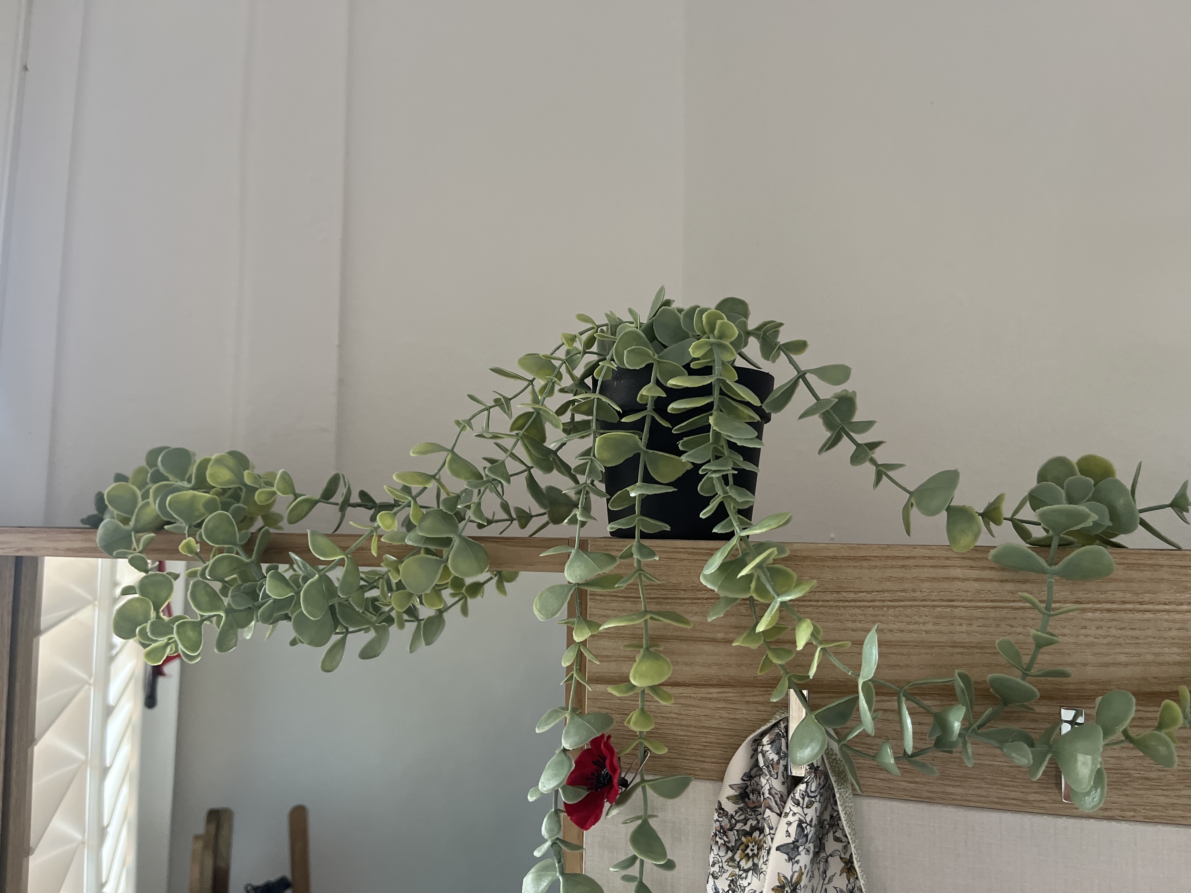 Customer home photo 3: Adds decoration to my dressing table