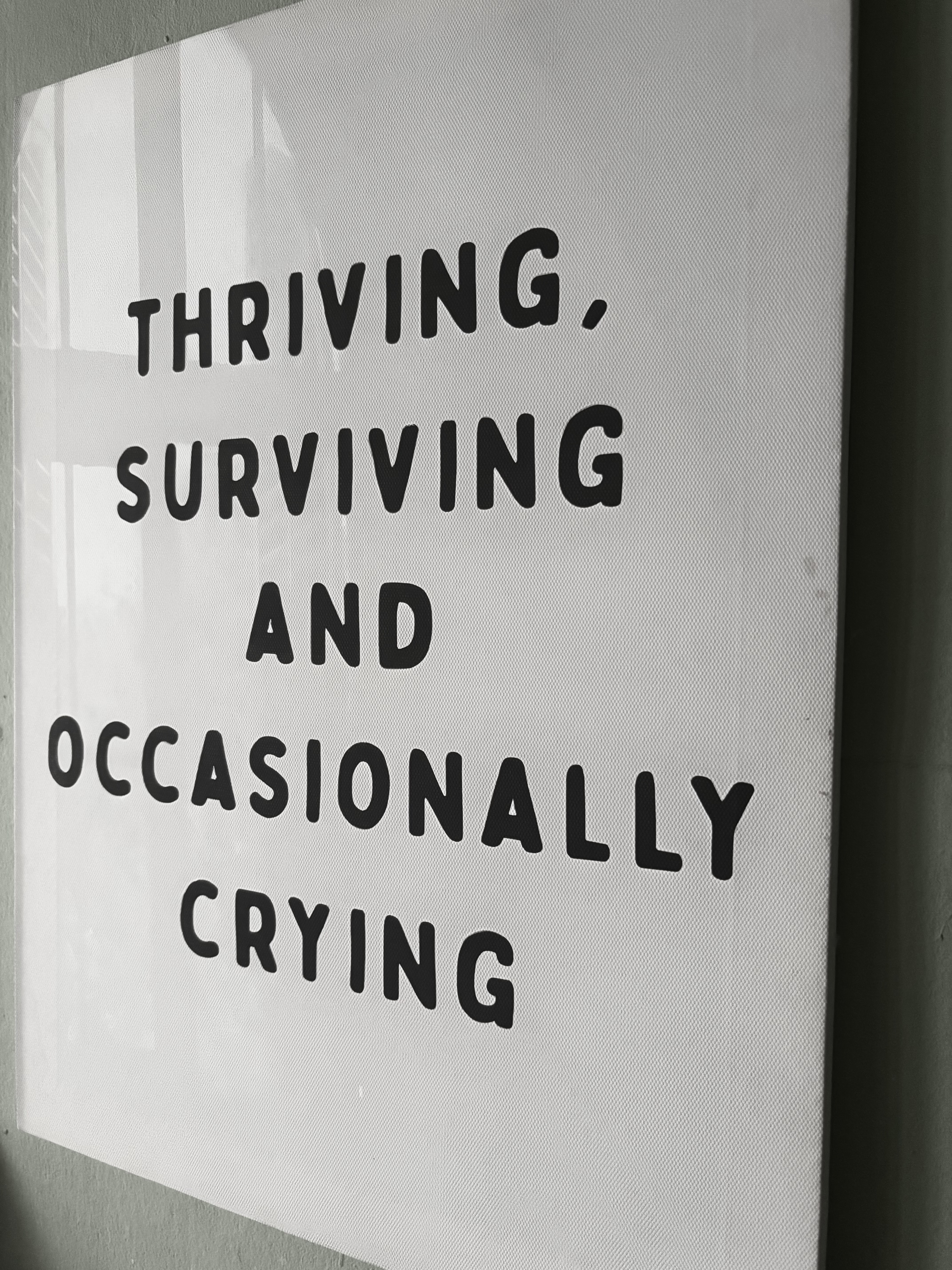 Customer home photo 1: Love the humour of this piece…Looks great with any decor. Highly recommended!