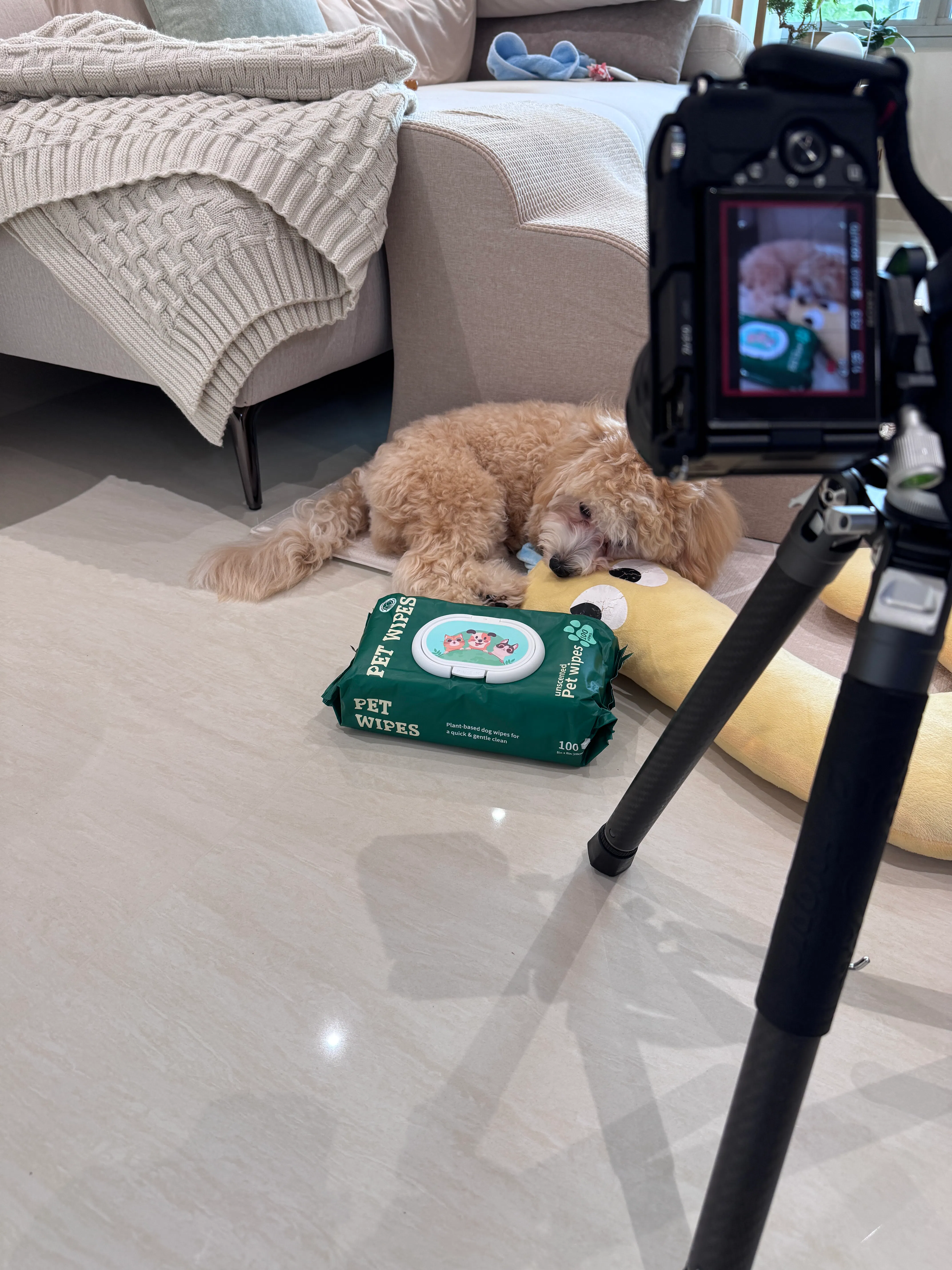 Customer home photo 7: So comfortable and nice for video shoot!