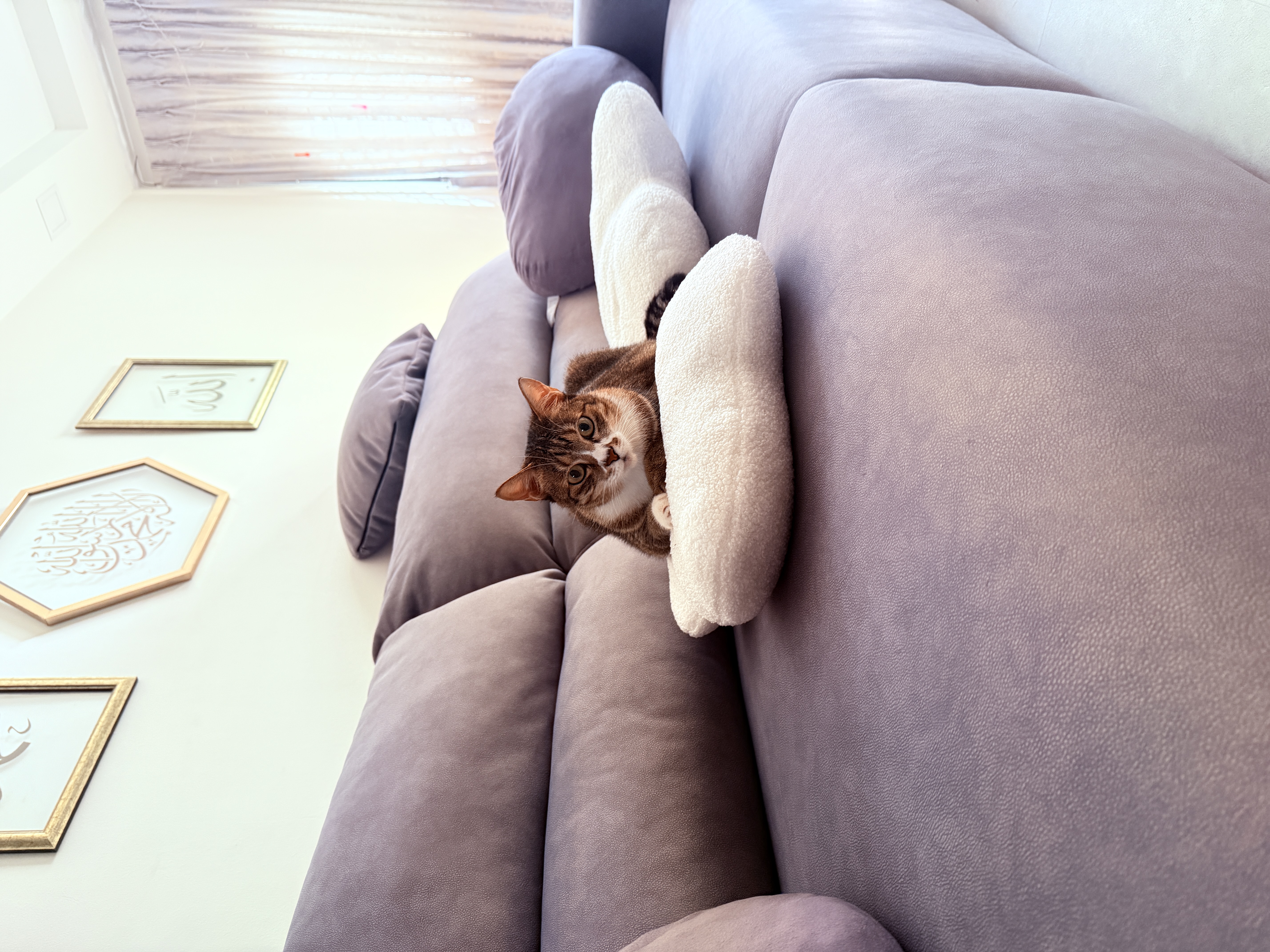 Customer home photo 1: Cute design and fluffy