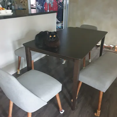 Customer home photo 5: Guests and my cats love it.