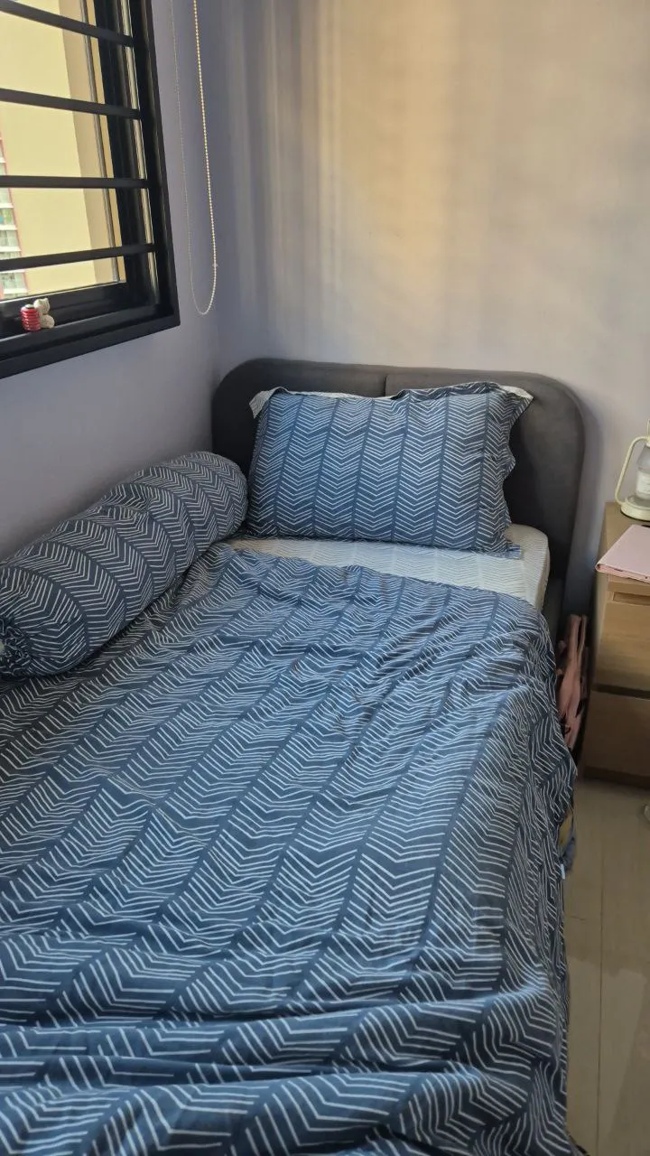 Customer home photo 16: The mattress is comfortable. Delivery was on time. True to the description and worth the price!