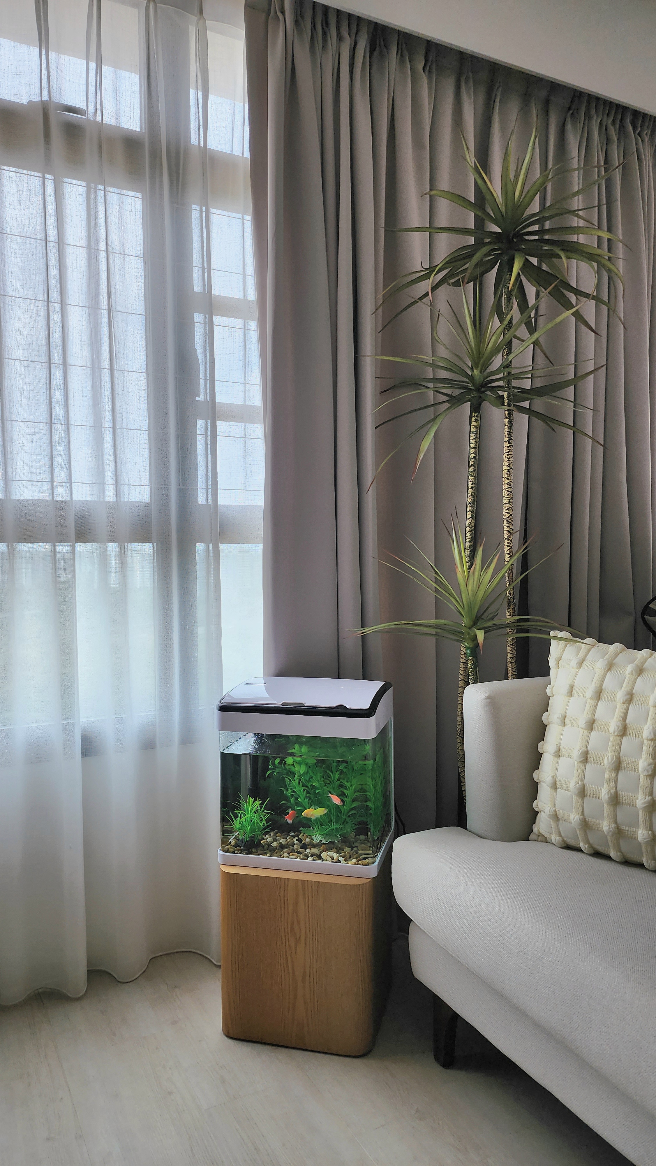 Customer home photo 9: So happy with this plant. It doesn't take up alot of space and it's a great addition to our living room. Came well wrapped. 👍