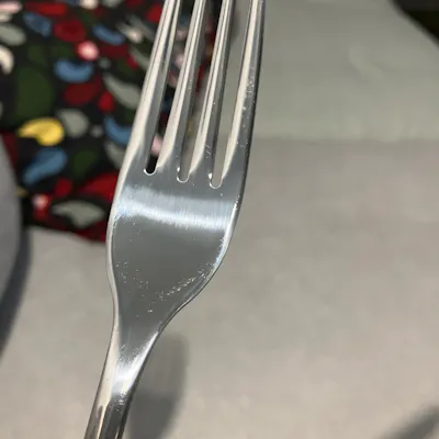 Customer home photo 2: Fork is light but strong. So far so good