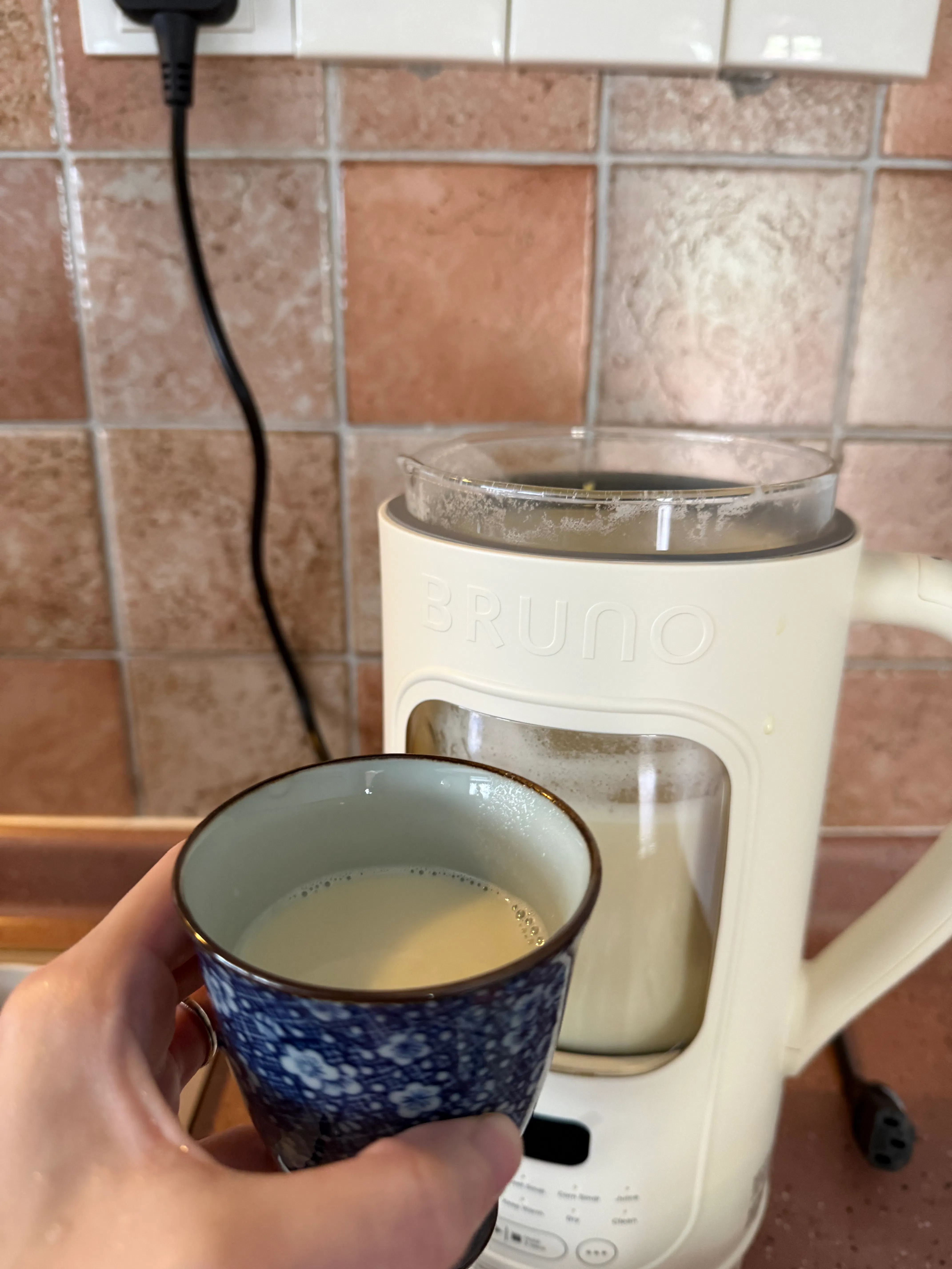 Customer home photo 2: Fresh soy milk! Very easy to use. Love it.