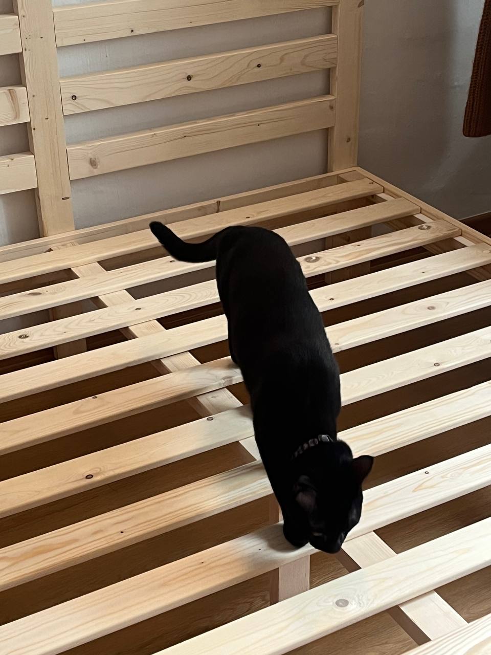 Customer home photo 1: I got this item together with the Katana queen bed and side table set. It's a really aesthetic and simple look for my guestroom.
