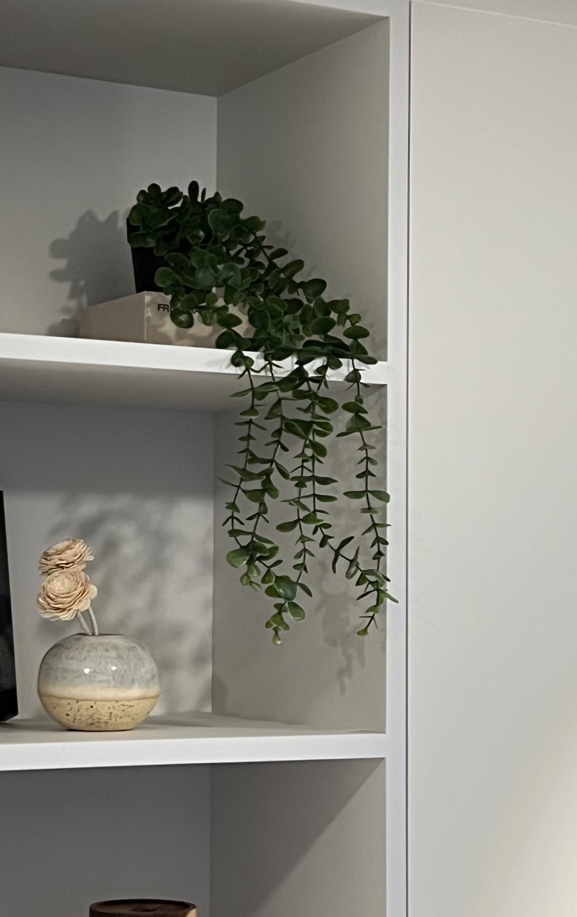 Customer home photo 5: Lovely faux plant that adds a nice touch to my kitchen shelf.