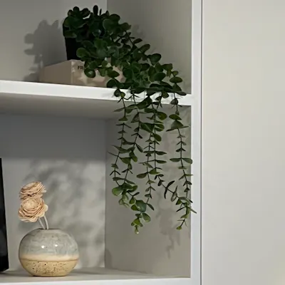 Customer home photo 5: Lovely faux plant that adds a nice touch to my kitchen shelf.
