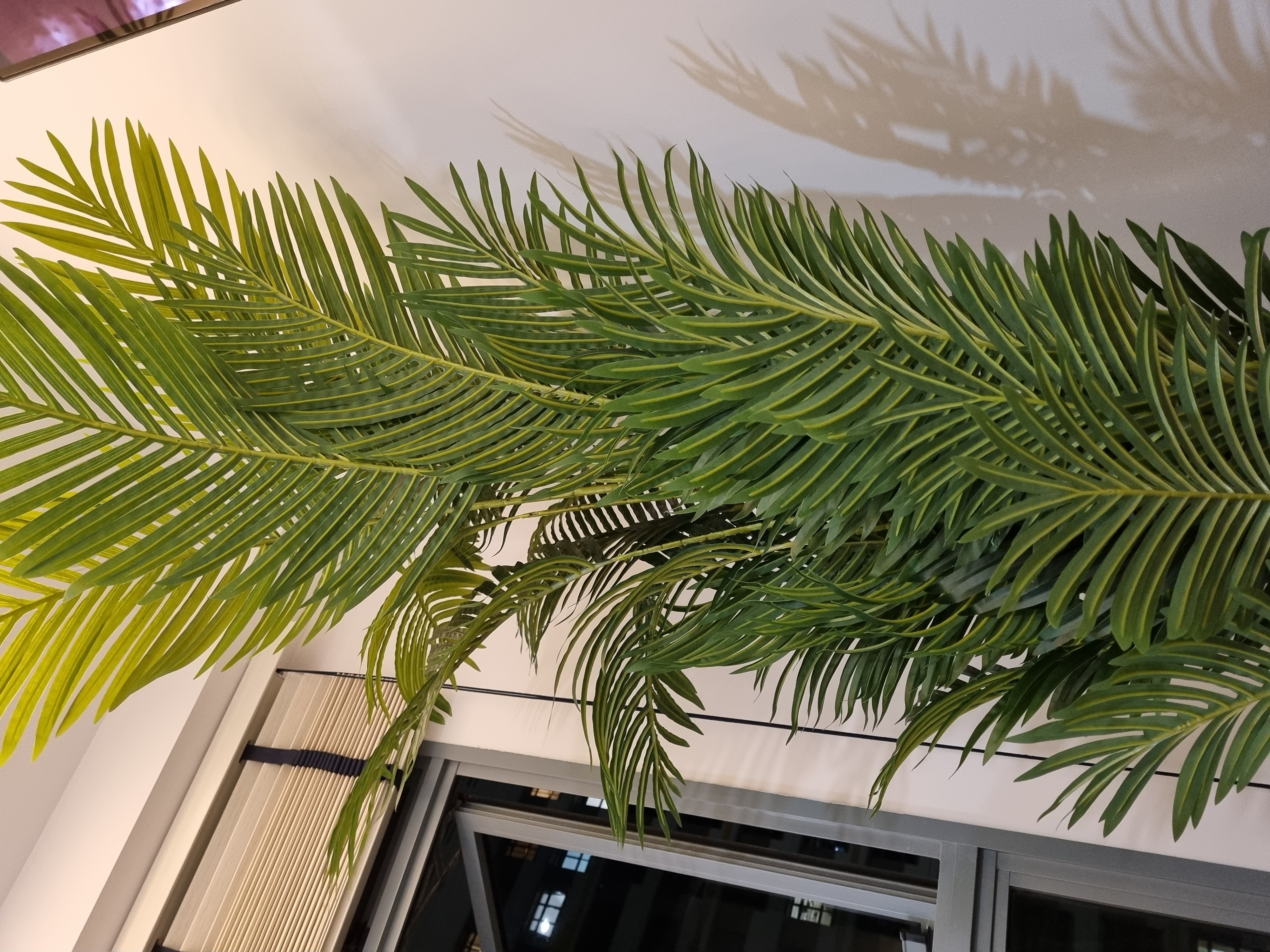 Customer home photo 9: Love how life like the palm tree. Thank you Hip Van.