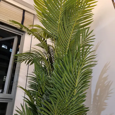Customer home photo 9: Love how life like the palm tree. Thank you Hip Van.